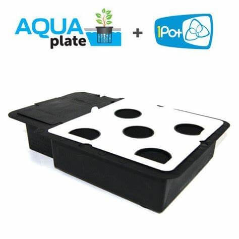 Auto Pot Aqua Plate