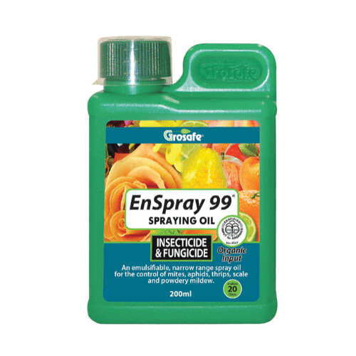 Enspray 99 200ml